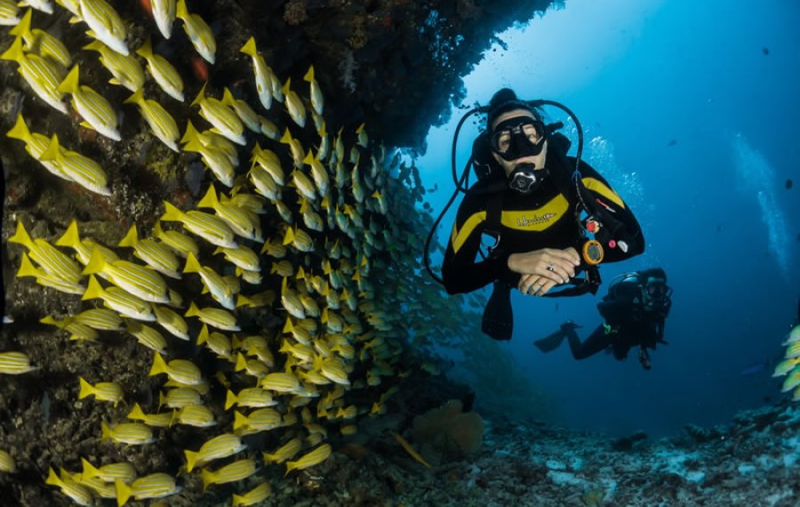 Diving - Sri Lanka