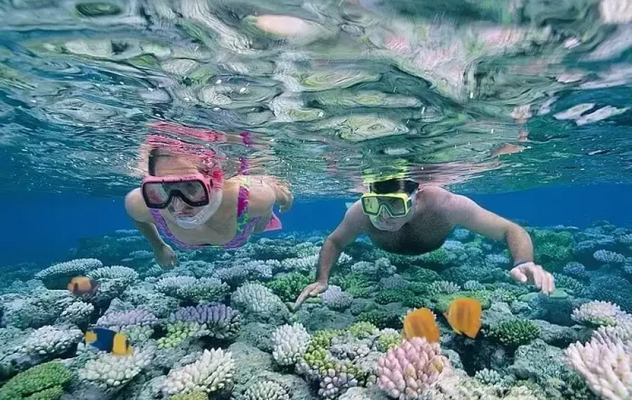 Snorkeling - Sri Lanka