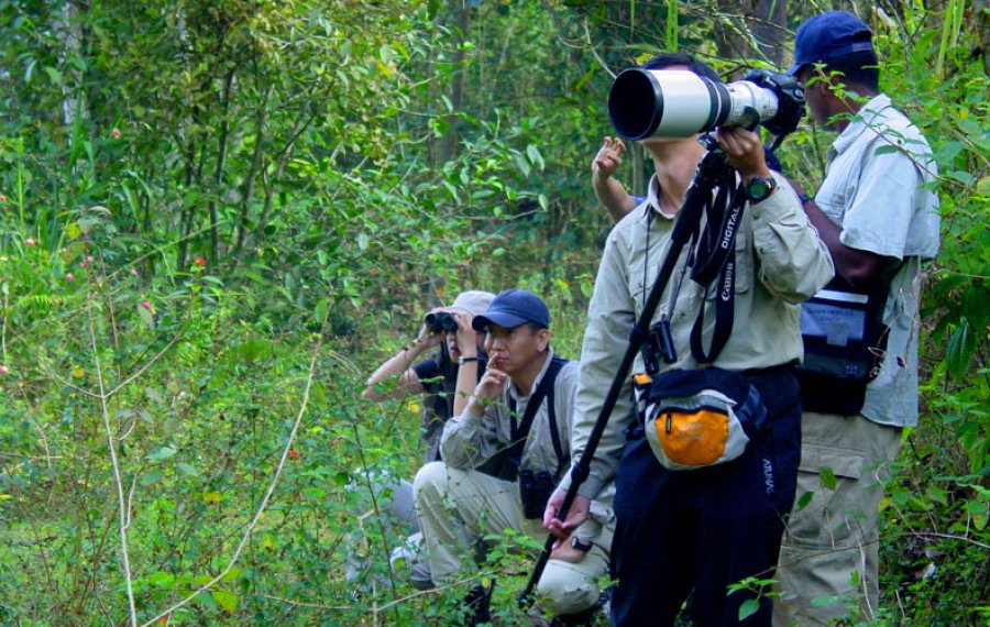 Bird watching - in sri lanka