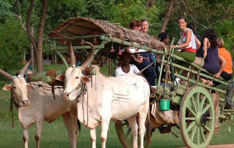 Village Safari - in sri lanka