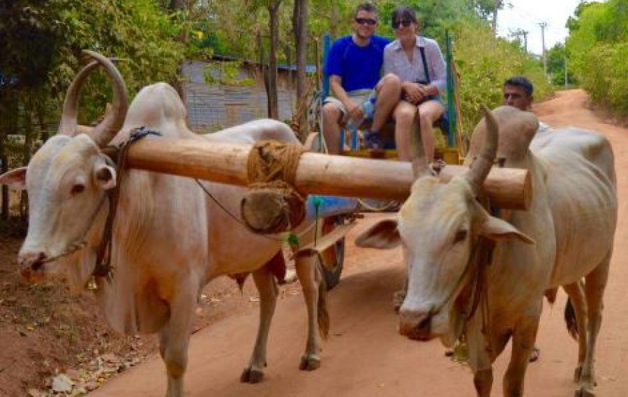 Village Safari - in sri lanka