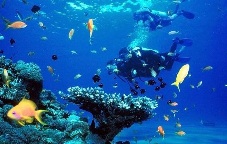 Snorkeling - Sri Lanka