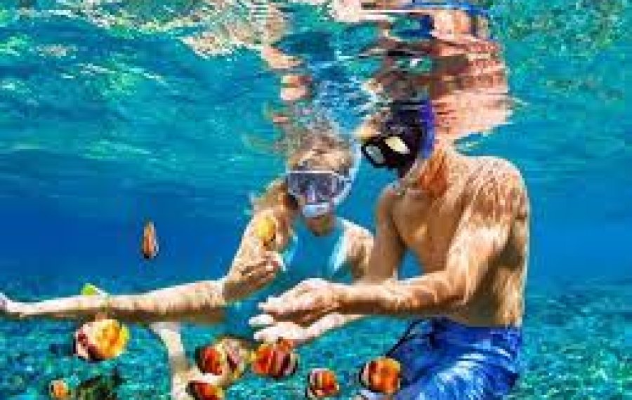 Snorkeling - Sri Lanka