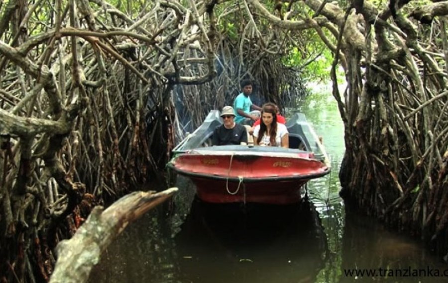 River Safari - Sri Lanka