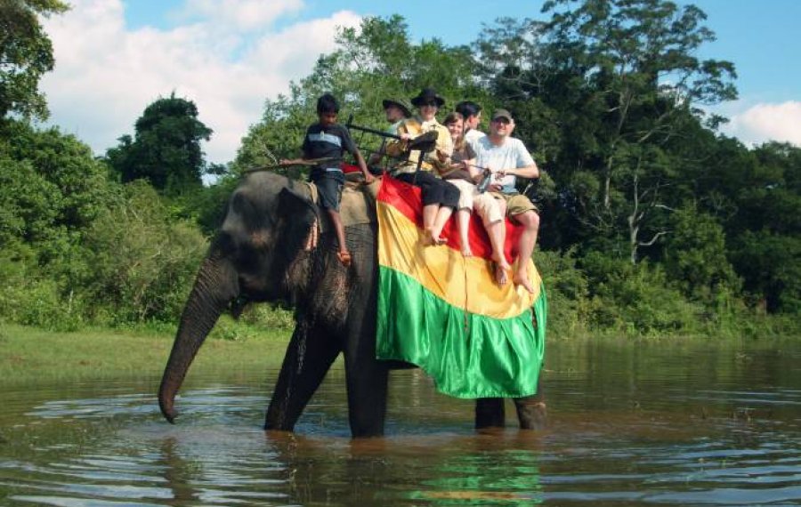 Elephant Back Safari  - in sri lanka