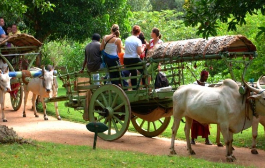 Village Safari - in sri lanka