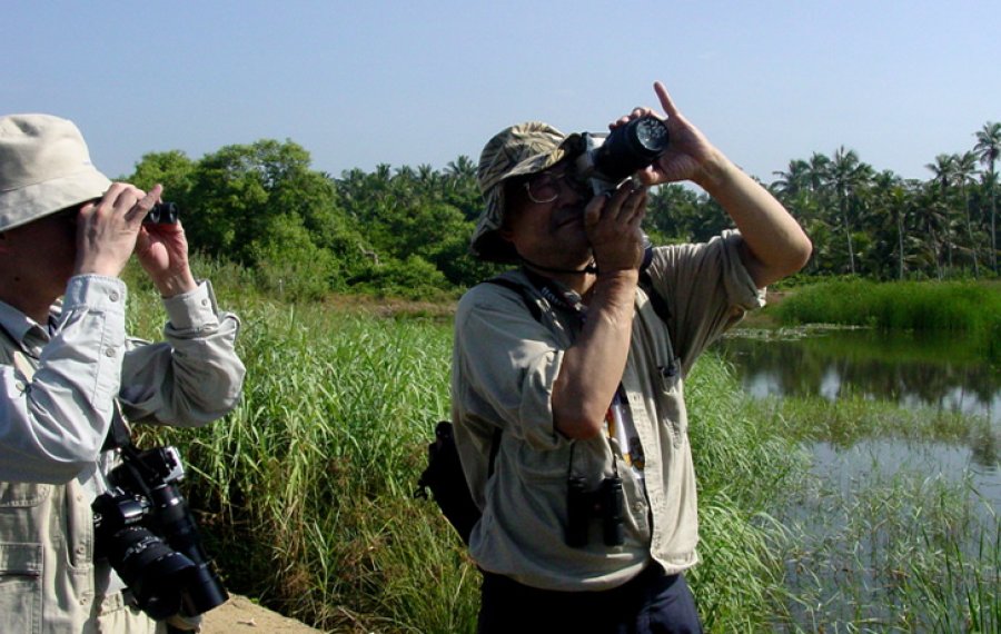 Bird watching - in sri lanka