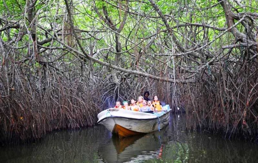 River Safari - Sri Lanka