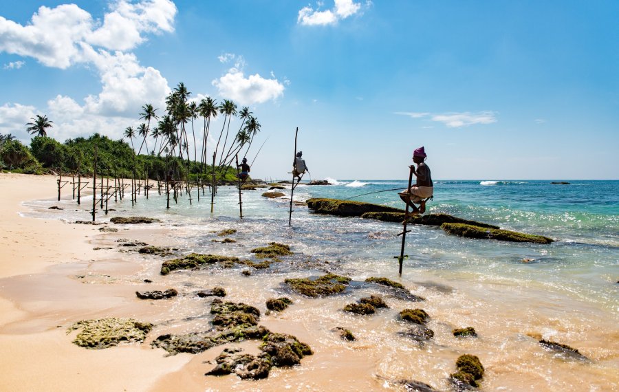 Stilt Fishing - Sri Lanka