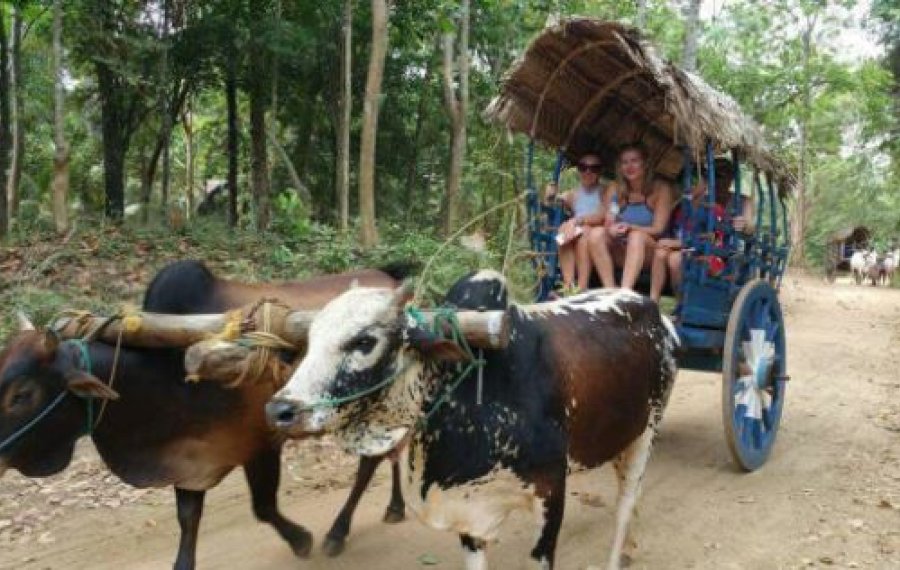 Village Safari - in sri lanka