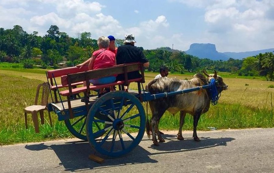 Village Safari - in sri lanka