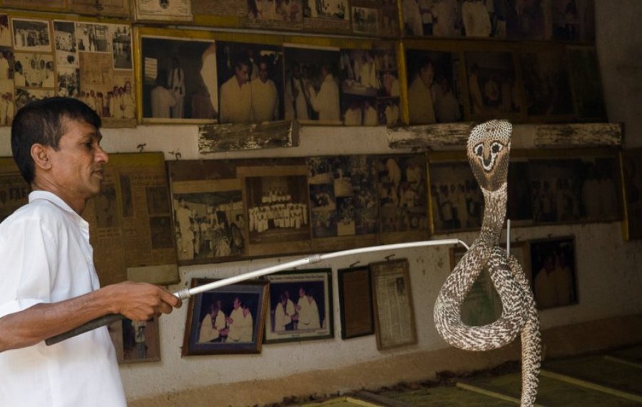  Snake Farm - Sri Lanka