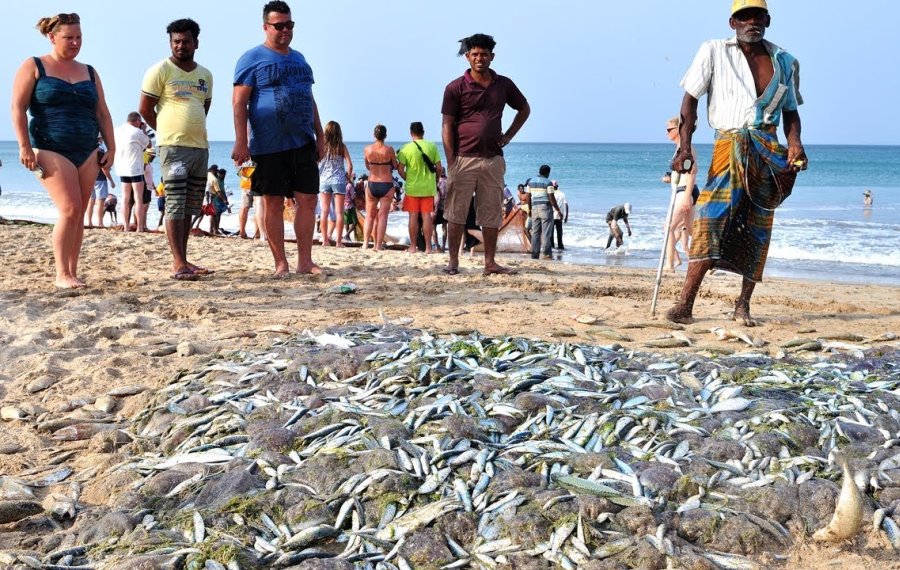 Fishing - Sri Lanka