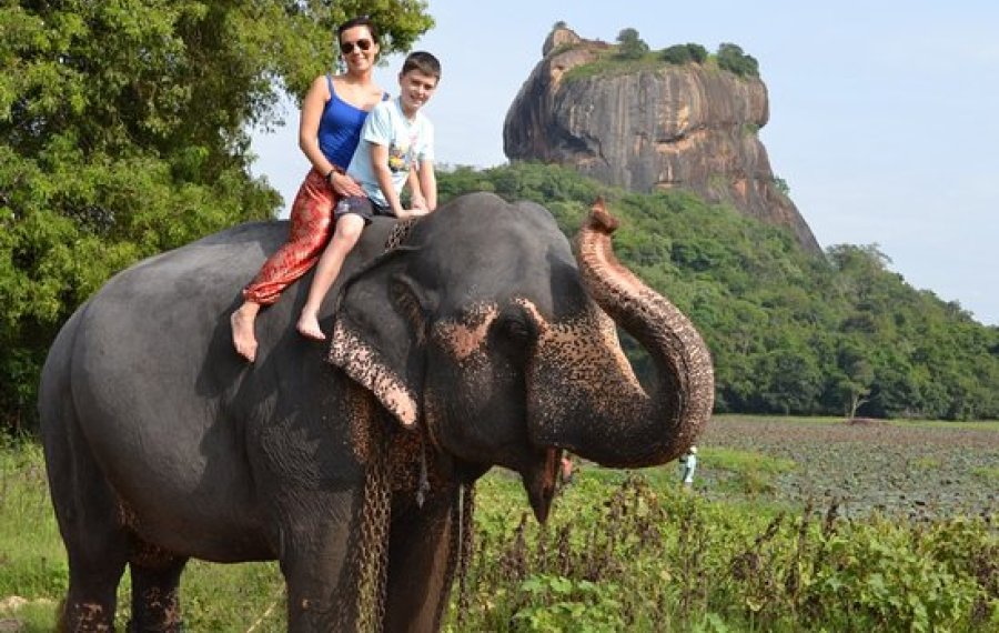 Elephant Back Safari  - in sri lanka