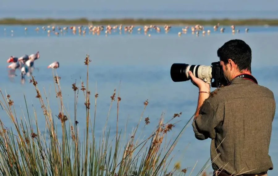 Bird watching - in sri lanka