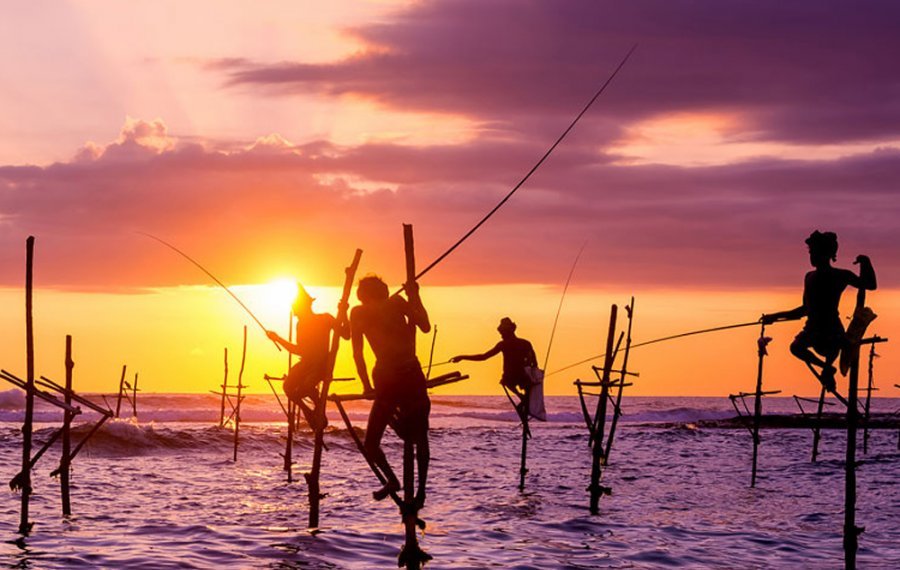 Stilt Fishing - Sri Lanka