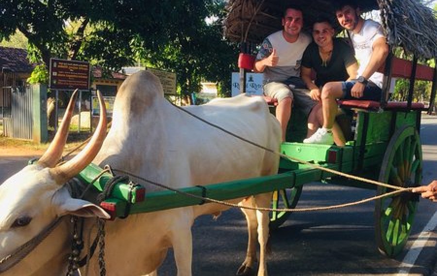 Village Safari - in sri lanka