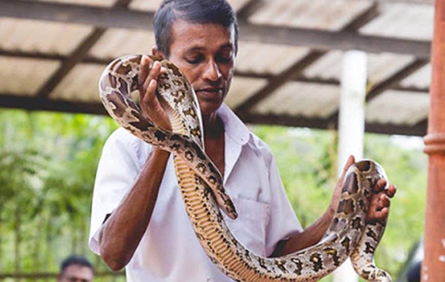  Snake Farm - Sri Lanka