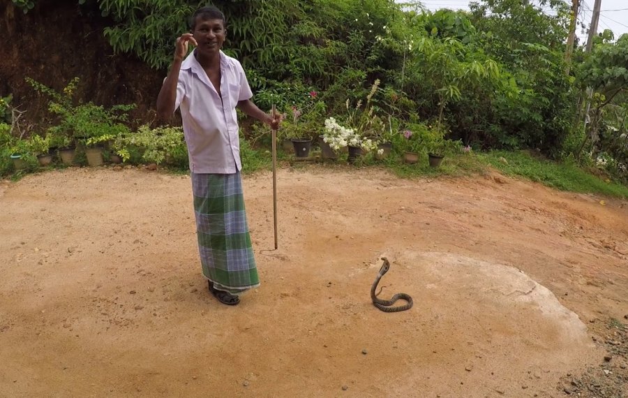  Snake Farm - Sri Lanka