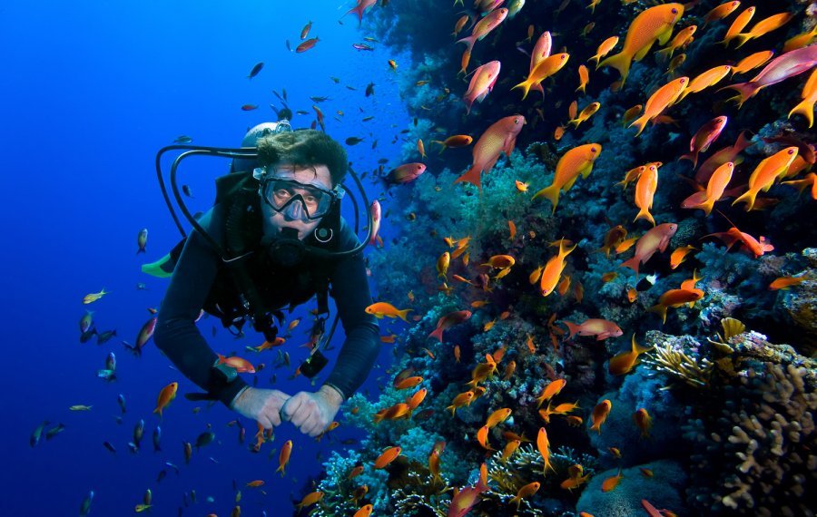 Diving - Sri Lanka