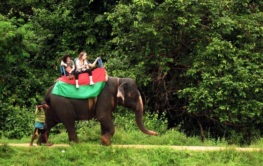 Elephant Back Safari  - in sri lanka