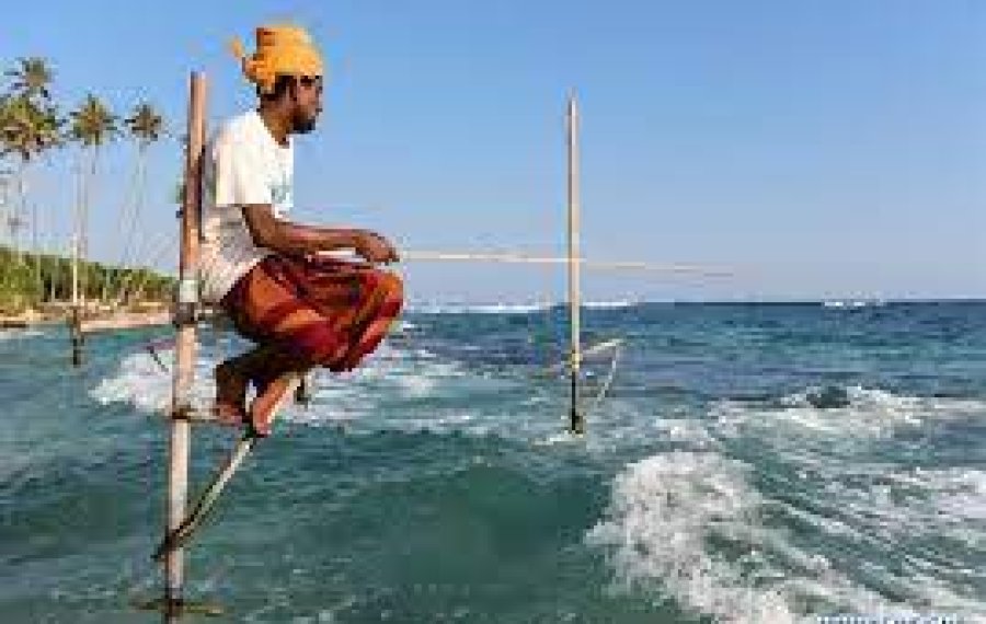 Stilt Fishing - Sri Lanka