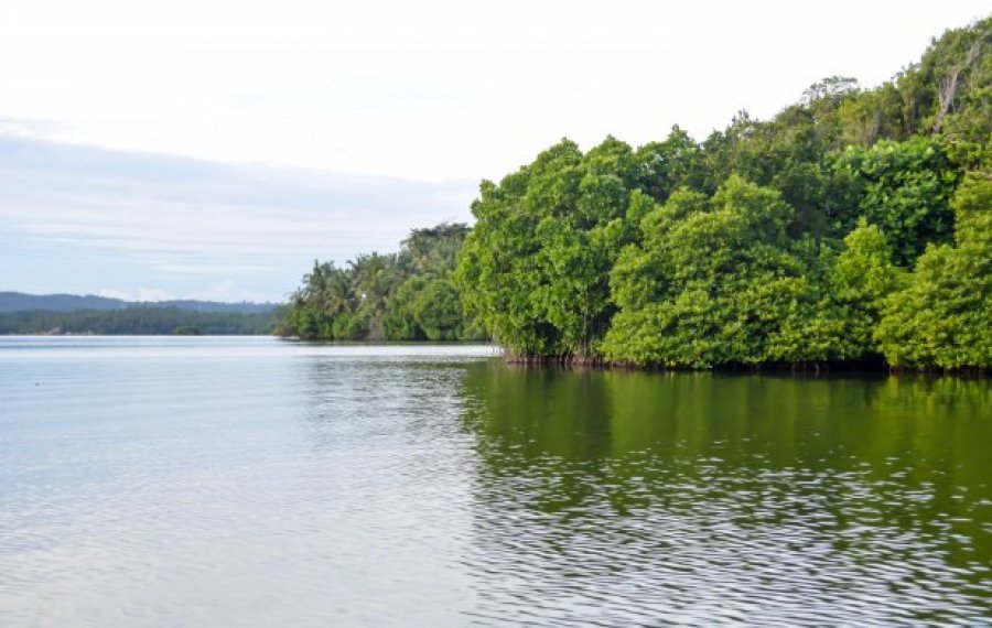 Koggala Lake Safari - Sri Lanka