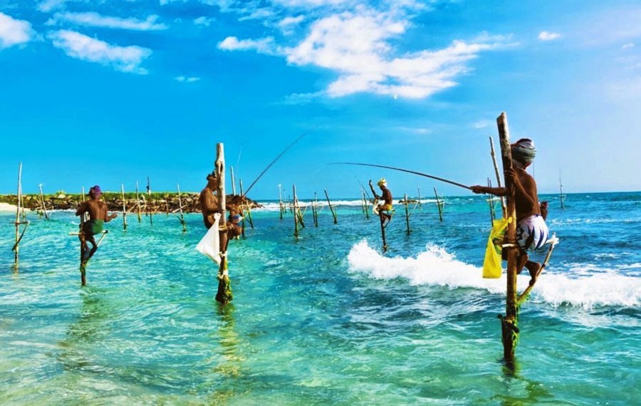 Stilt Fishing - Sri Lanka