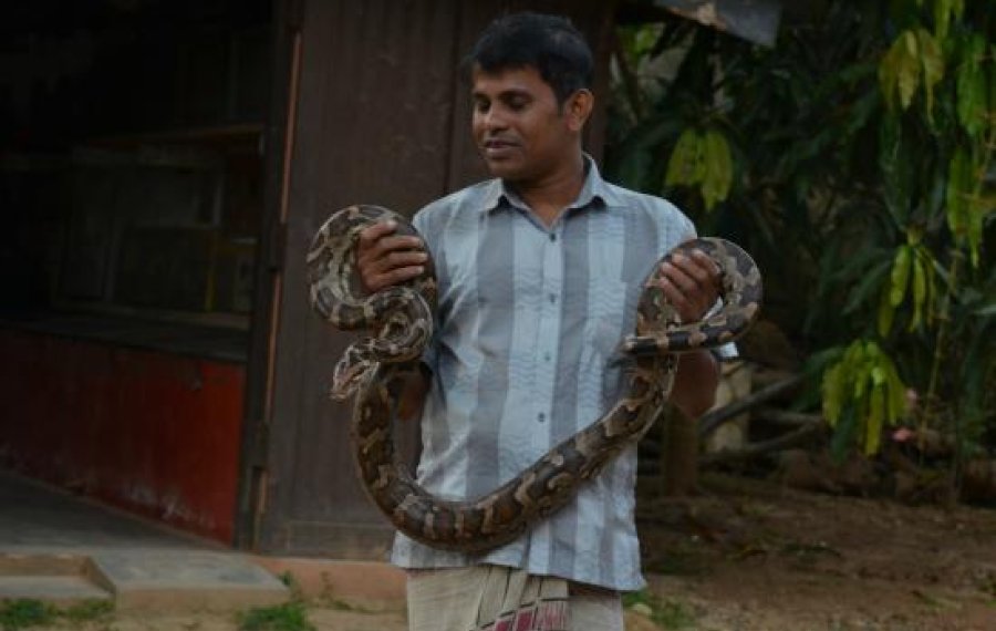  Snake Farm - Sri Lanka