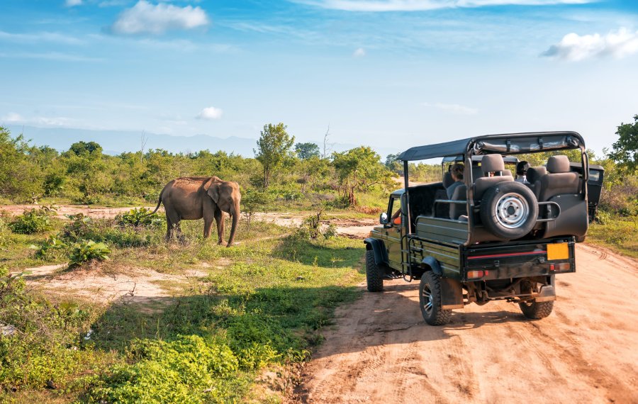  Wildlife Safari - Sri Lanka