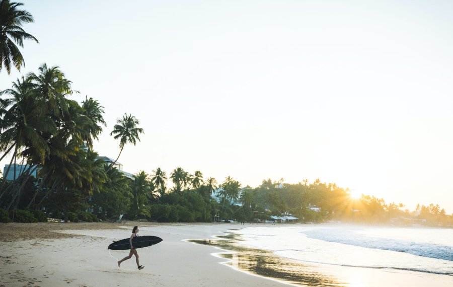 Surfing