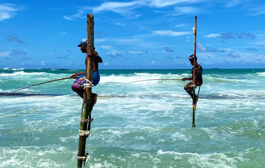 Stilt Fishing - Sri Lanka