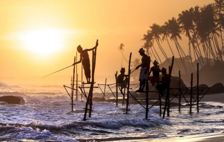 Still Fishing - Sri Lanka