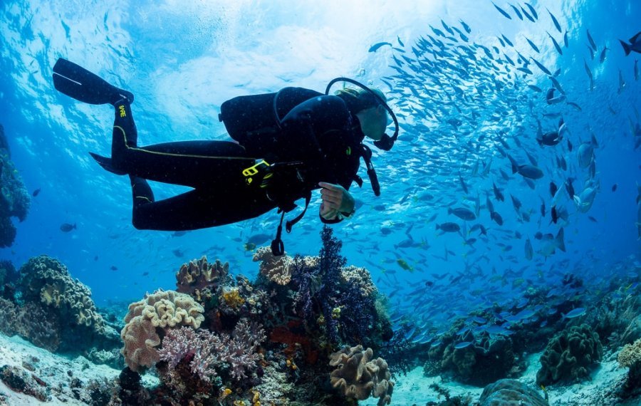 Diving - Sri Lanka