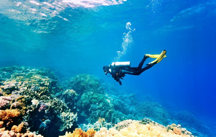 Diving - Sri Lanka