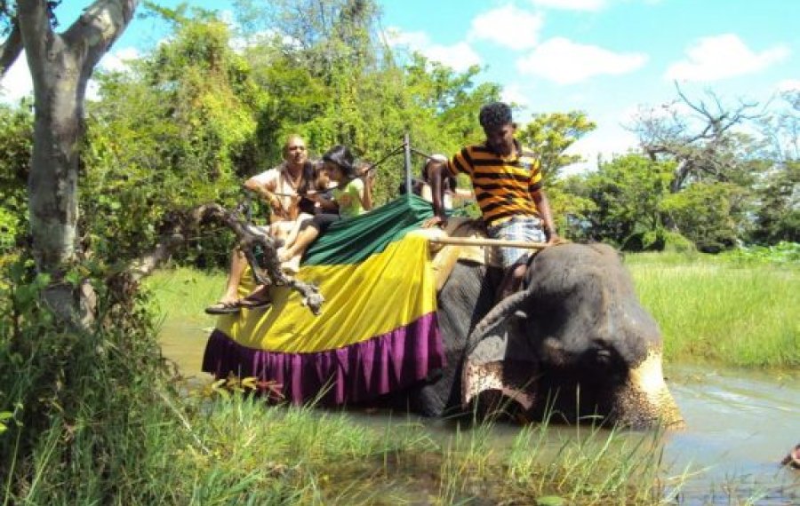 Elephant Back Safari  - in sri lanka