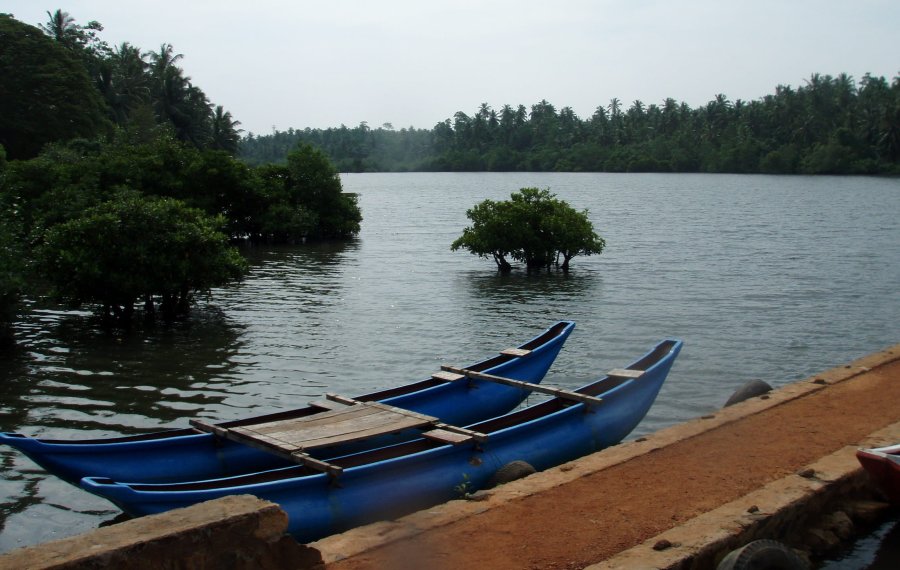 Koggala Lake Safari - Sri Lanka