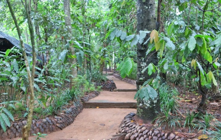 Herbal and Spice garden 