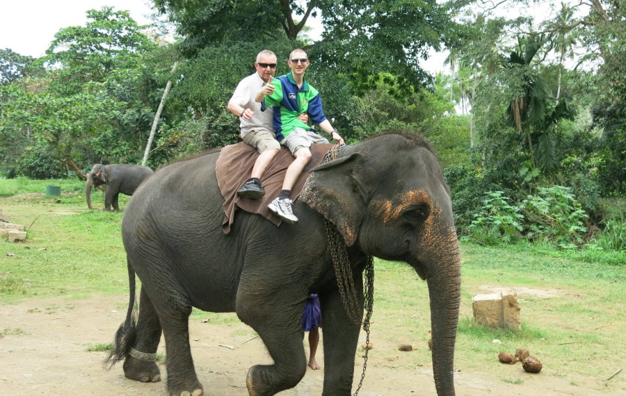 Elephant Back Safari  - in sri lanka