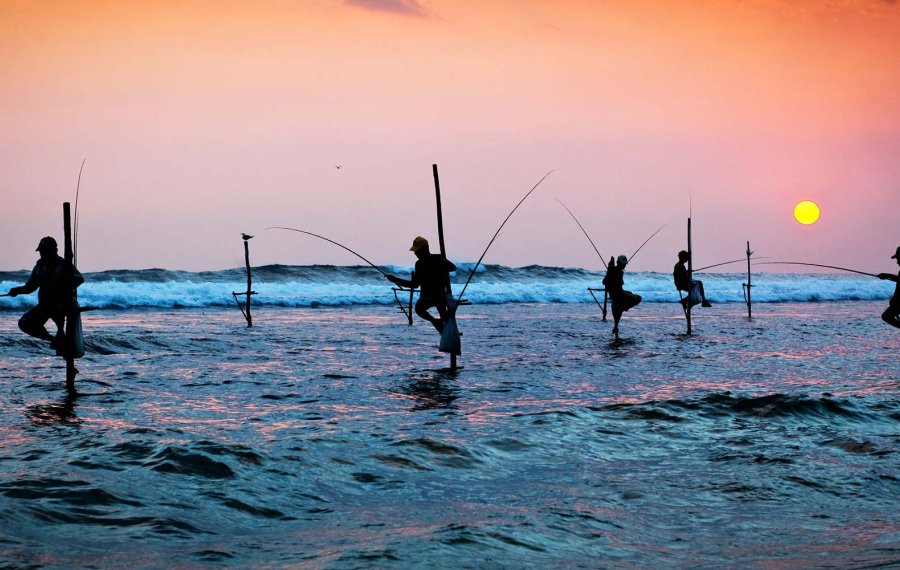 Stilt Fishing - Sri Lanka