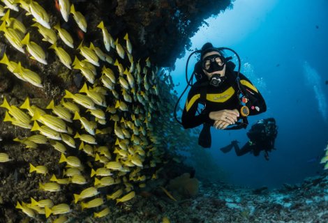 Diving - Sri Lanka