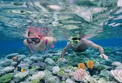 Snorkeling - Sri Lanka