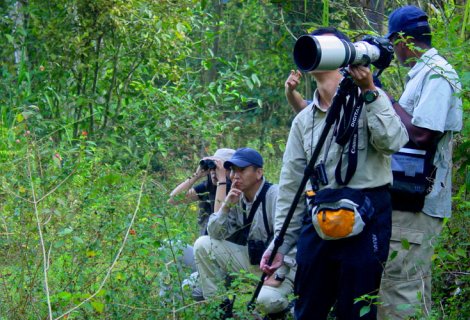 Bird watching - in sri lanka