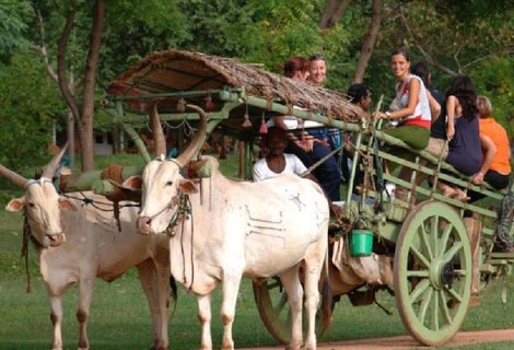 Village Safari - in sri lanka