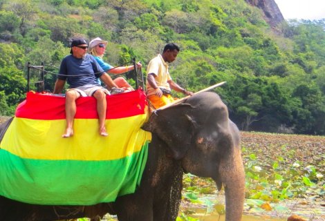 Elephant Back Safari  - in sri lanka