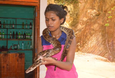  Snake Farm - Sri Lanka