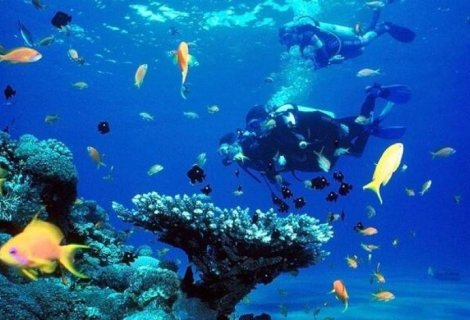 Snorkeling - Sri Lanka
