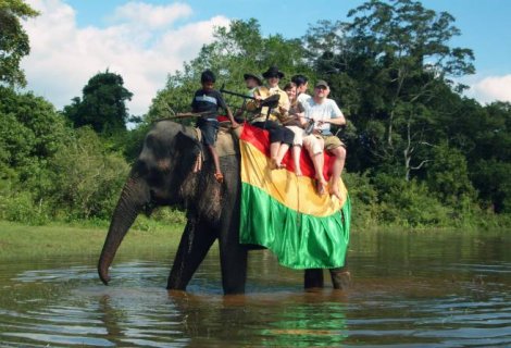 Elephant Back Safari  - in sri lanka