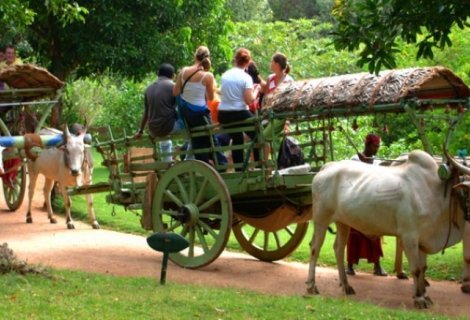 Village Safari - in sri lanka