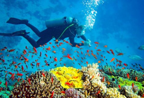 Snorkeling - Sri Lanka